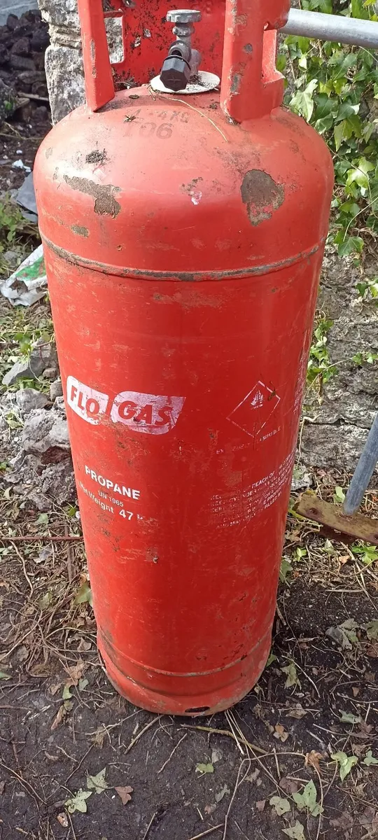 Propane Gas Cylinders (2) - Image 1