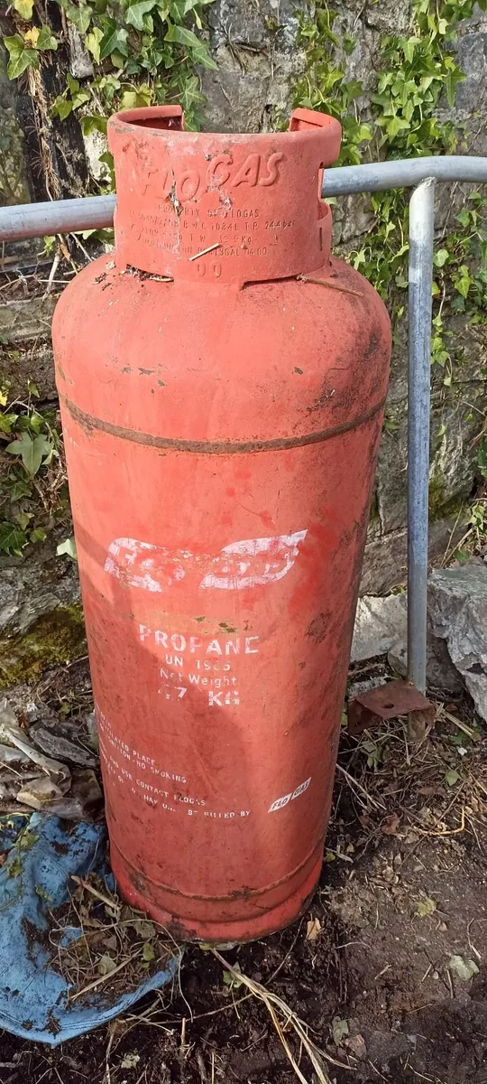 Propane Gas Cylinders (2) - Image 2