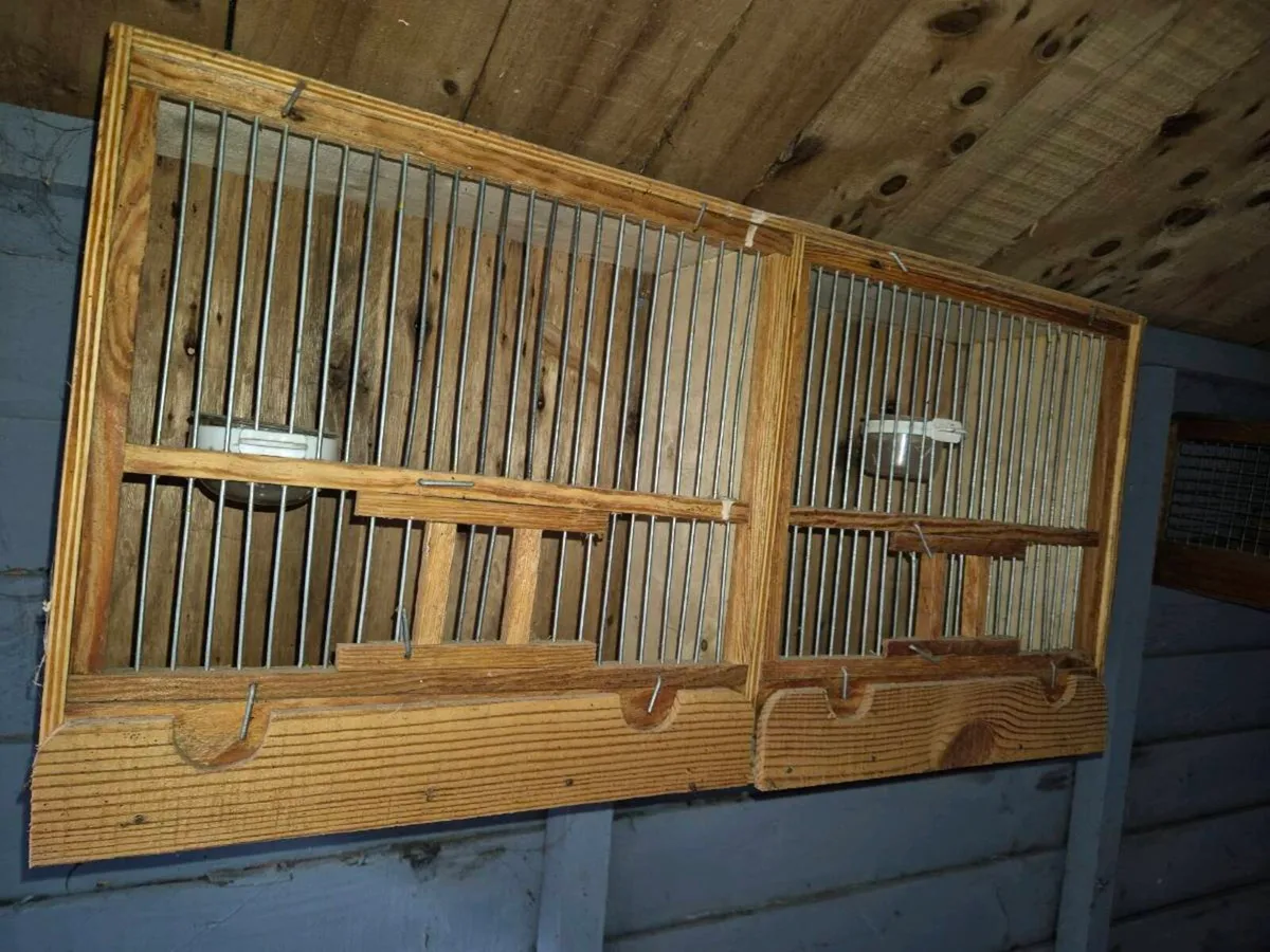 Cages and accessories - Image 1