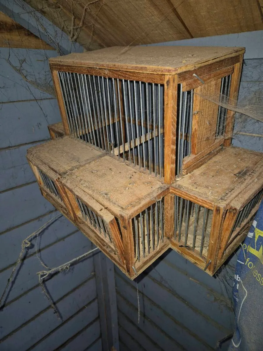 Cages and accessories - Image 2