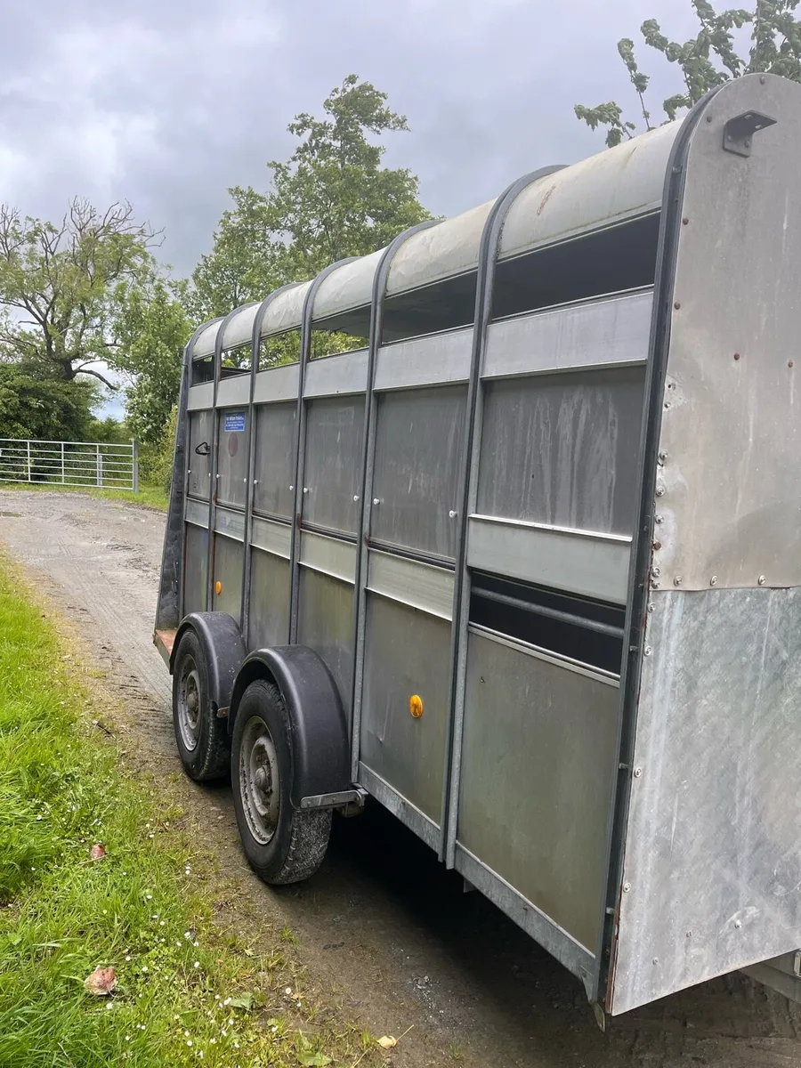 Cattle trailer - Image 4