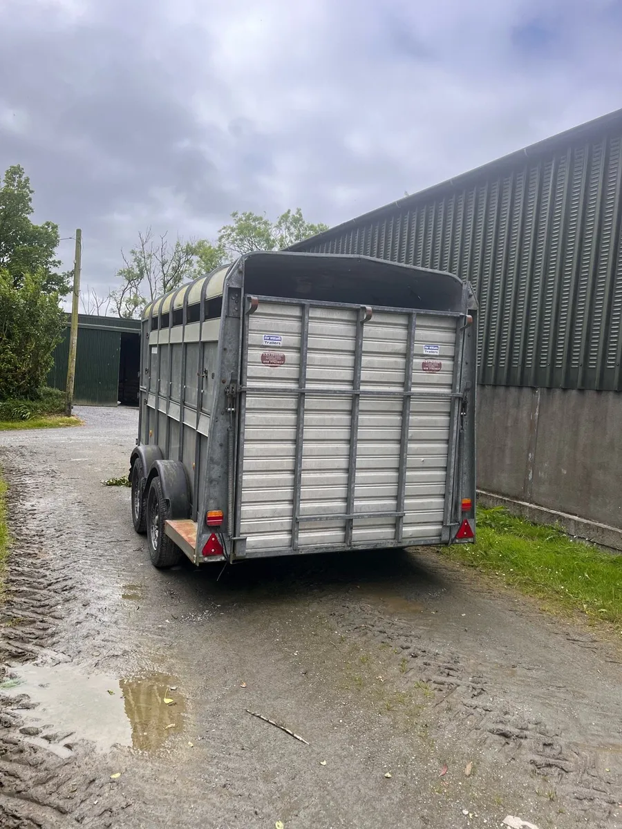 Cattle trailer - Image 2