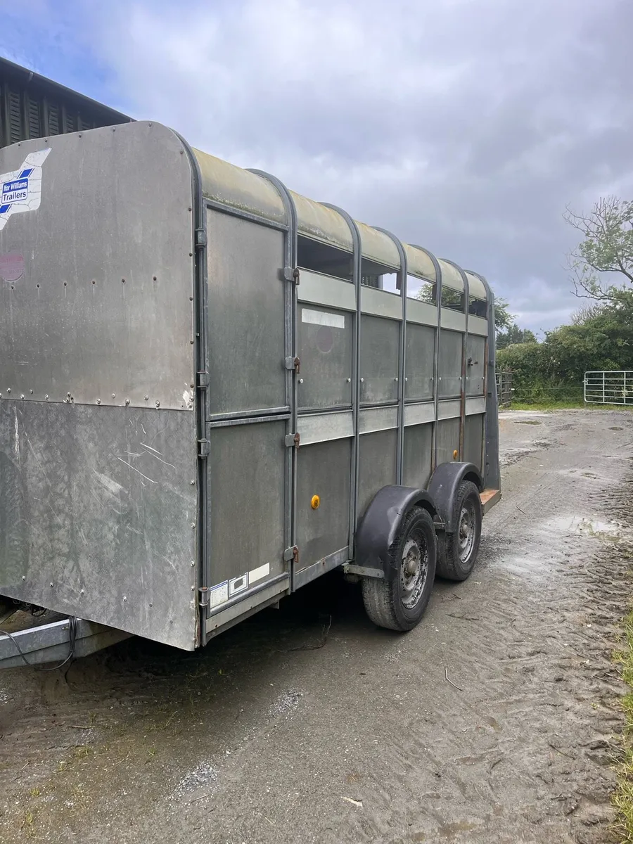 Cattle trailer - Image 3