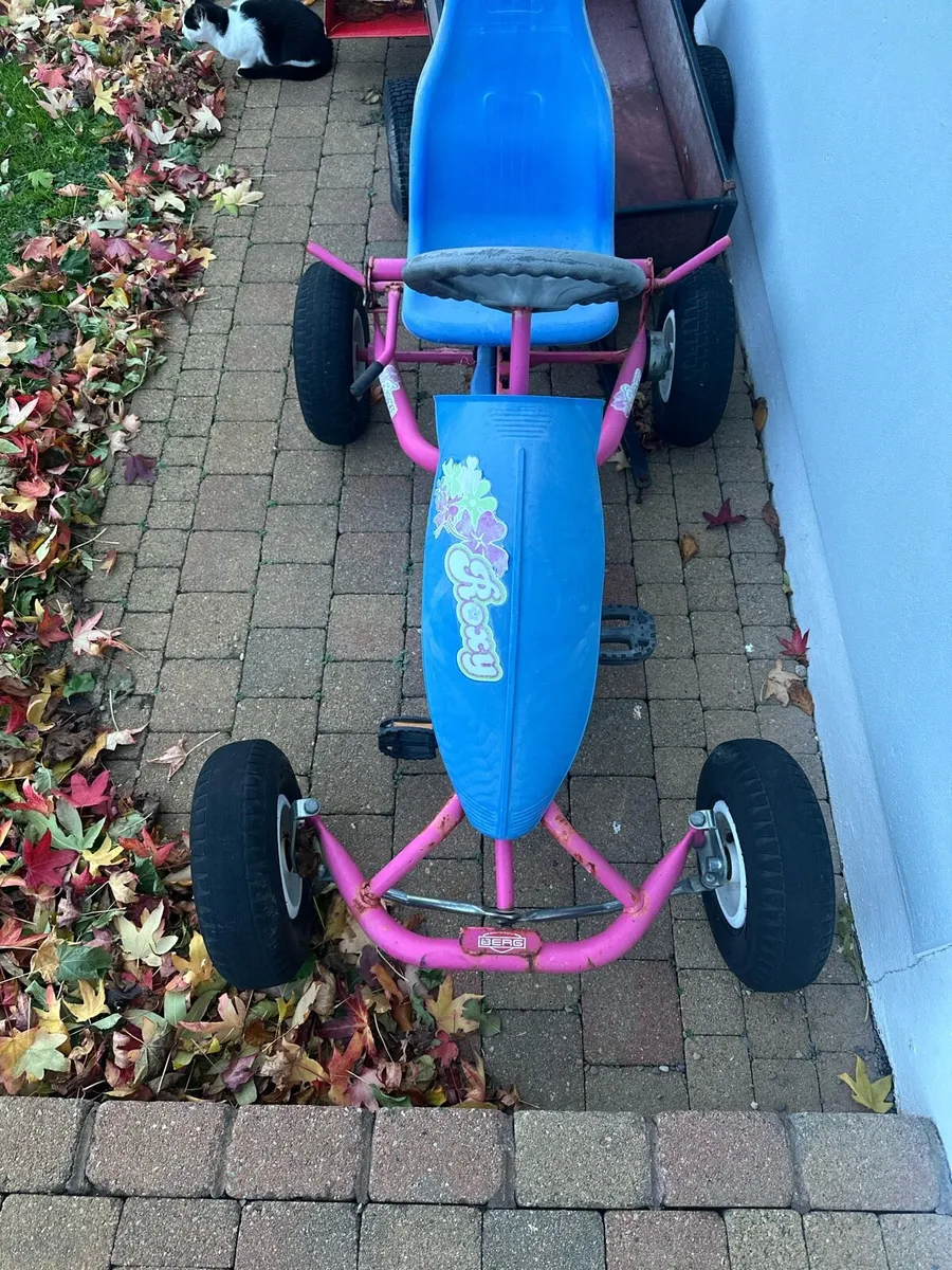 Berg Go Kart- Roxy - Image 1