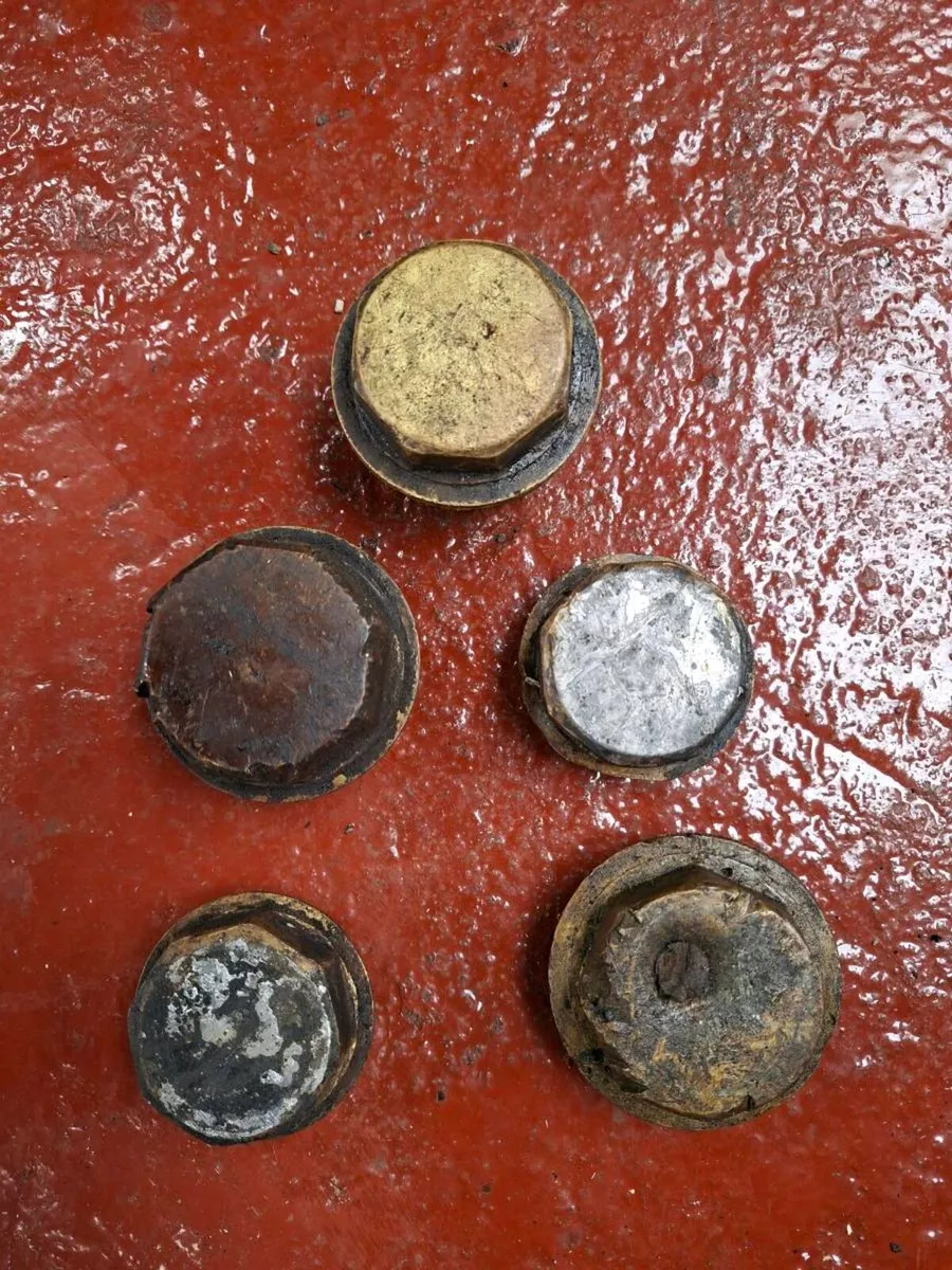 Brass Trap Hubcaps - Image 1