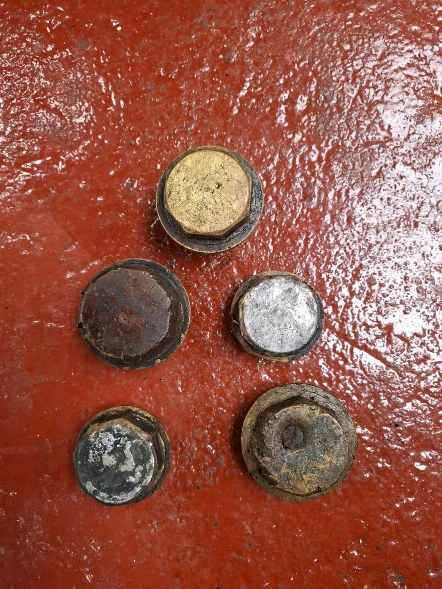 Brass Trap Hubcaps - Image 2