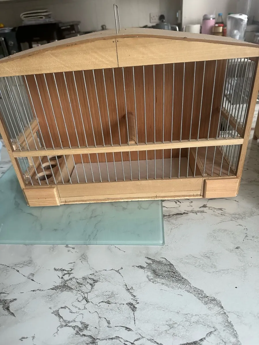 Bird cadges - Image 1
