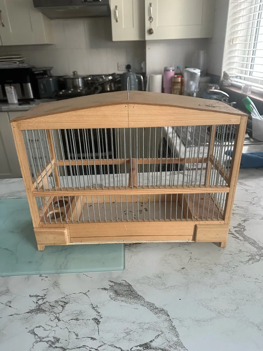 Bird cadges - Image 2