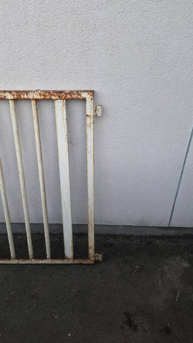 Metal gate - Image 4