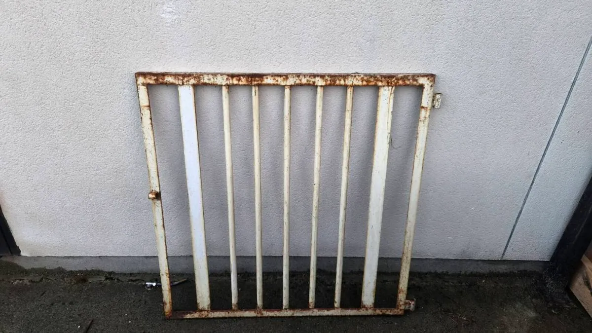 Metal gate - Image 1