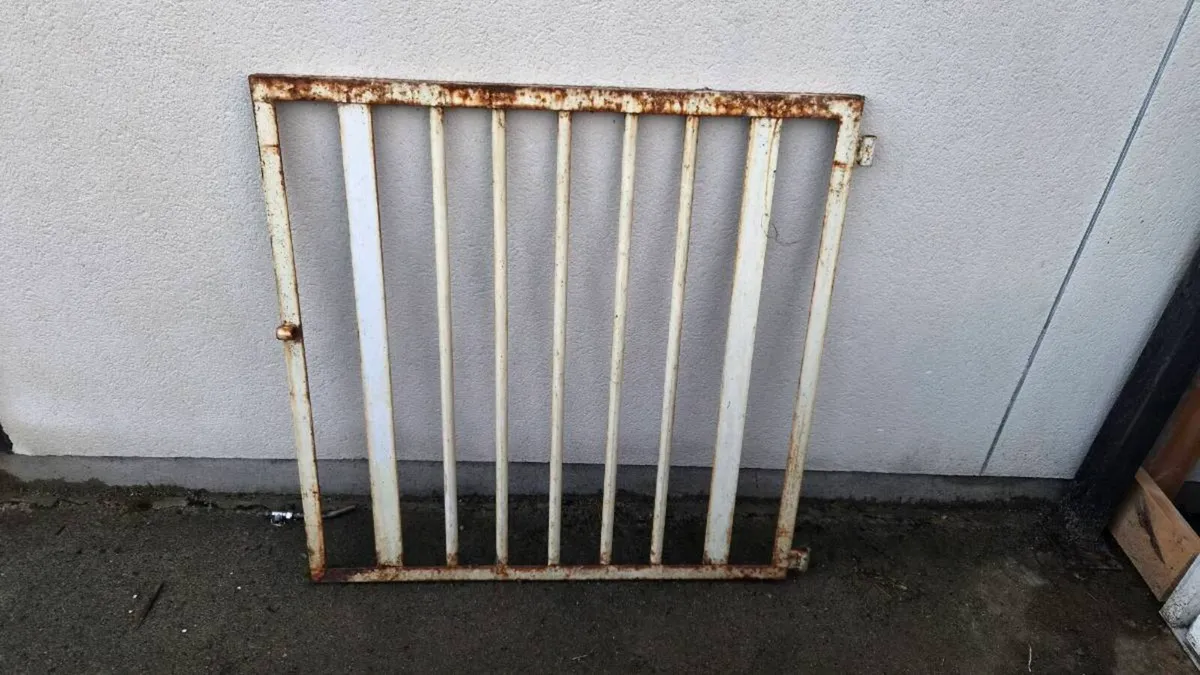 Metal gate - Image 2