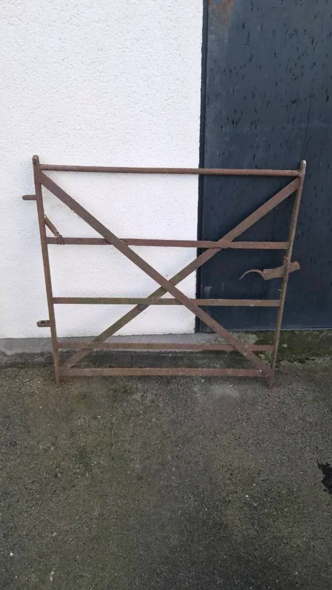 Metal gate - Image 1