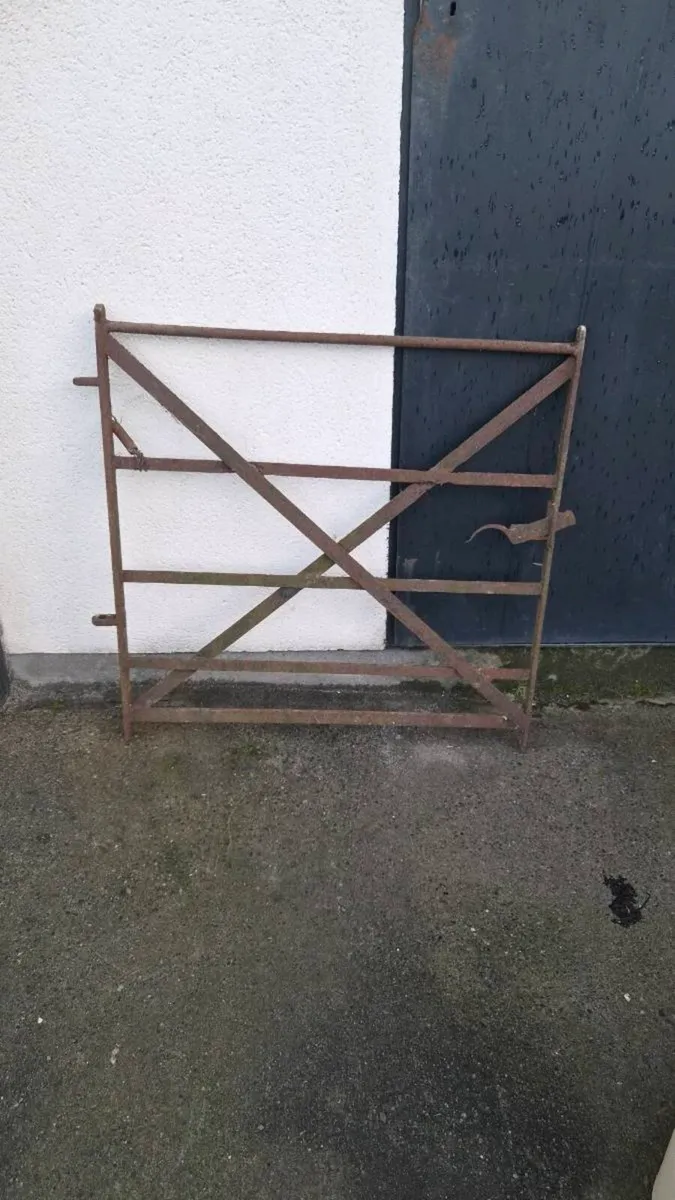 Metal gate - Image 2