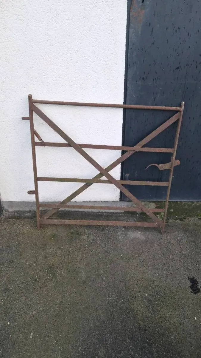 Metal gate - Image 3