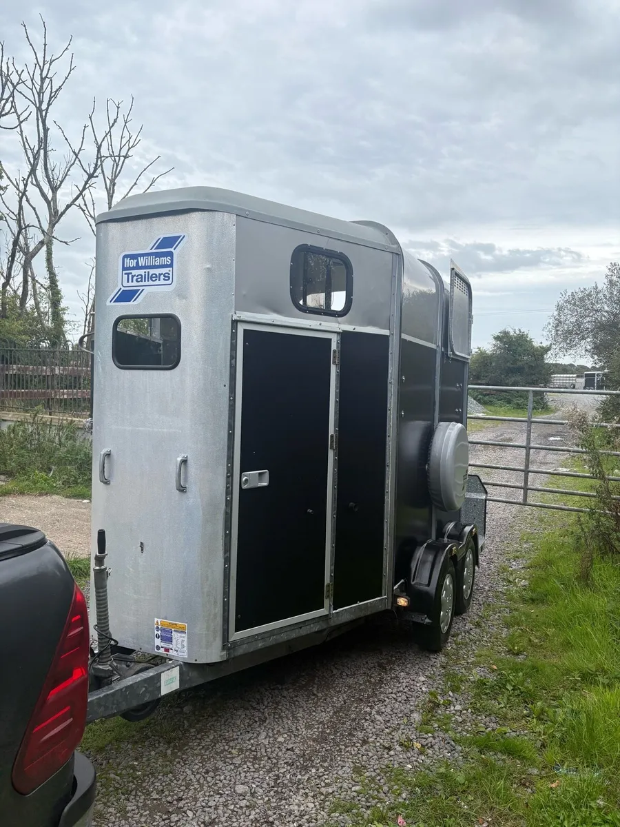 Iforwillams HB505 classic - Image 2