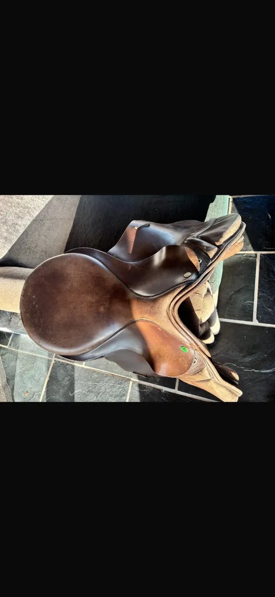 Saddle - Image 1