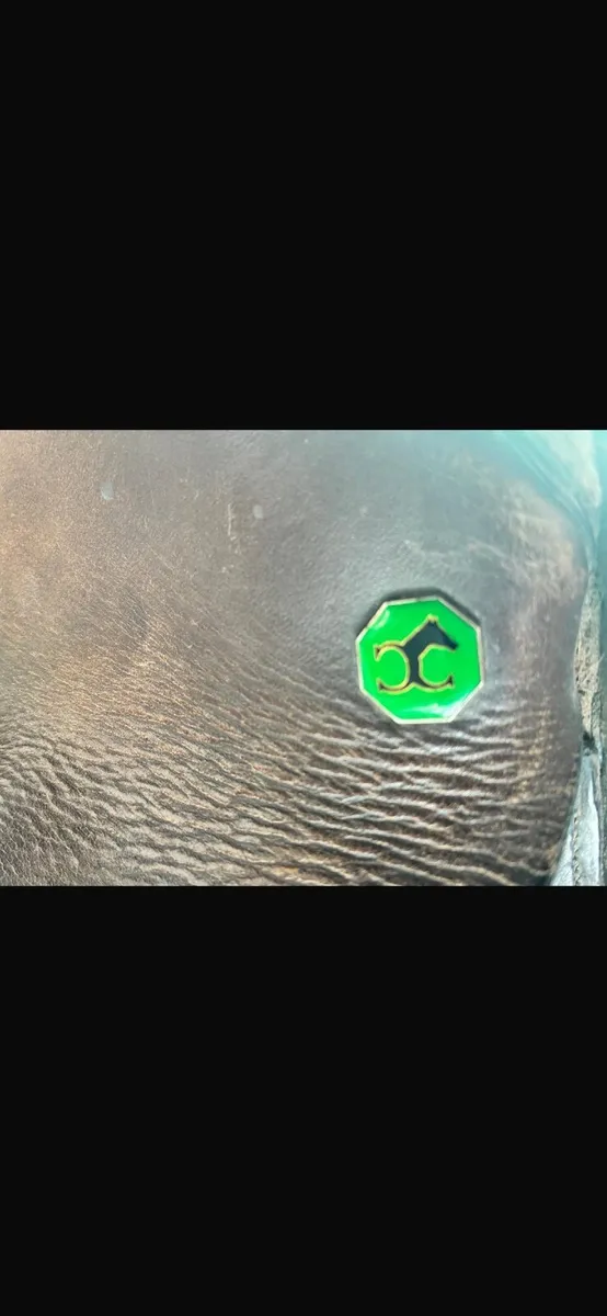 Saddle - Image 2
