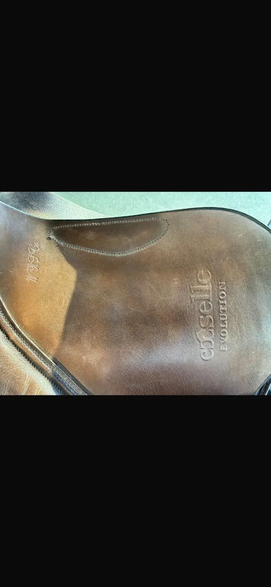 Saddle - Image 3
