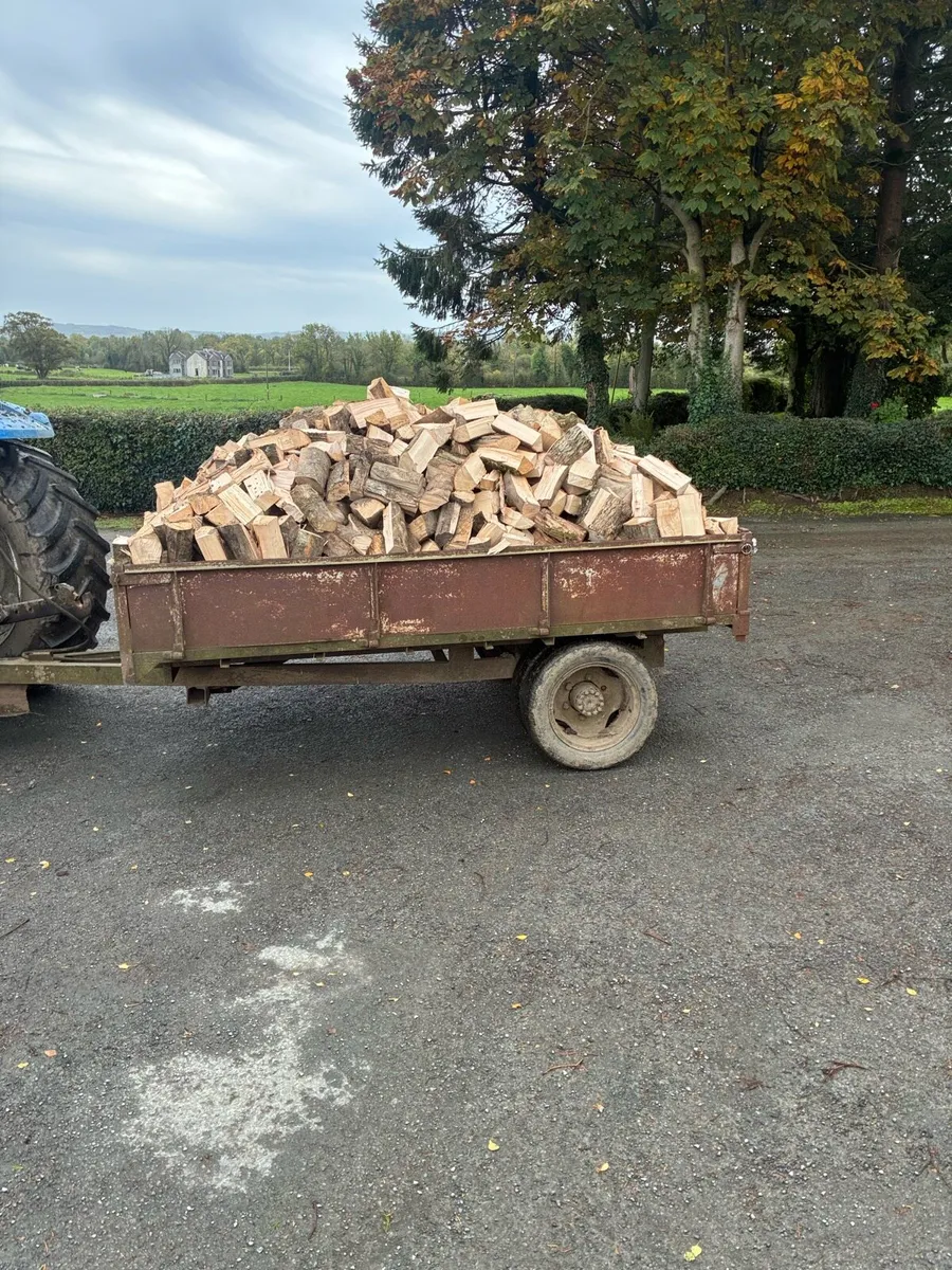 Fire wood for sale - Image 1