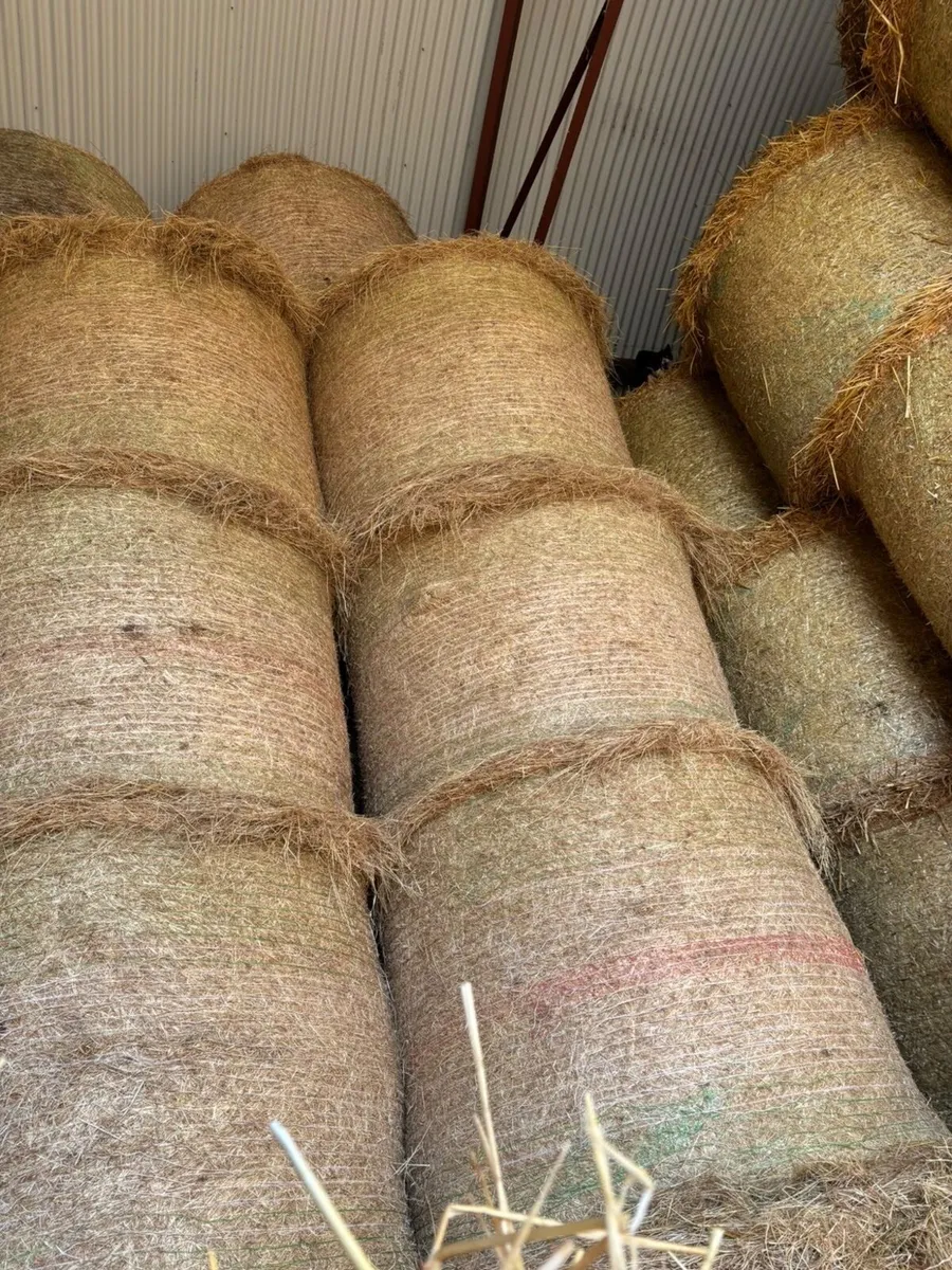 Hay & Peat - Image 1