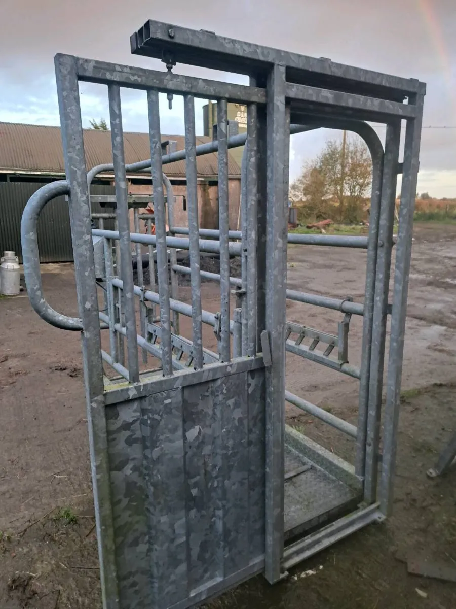 Weighing mobile crush - Image 3
