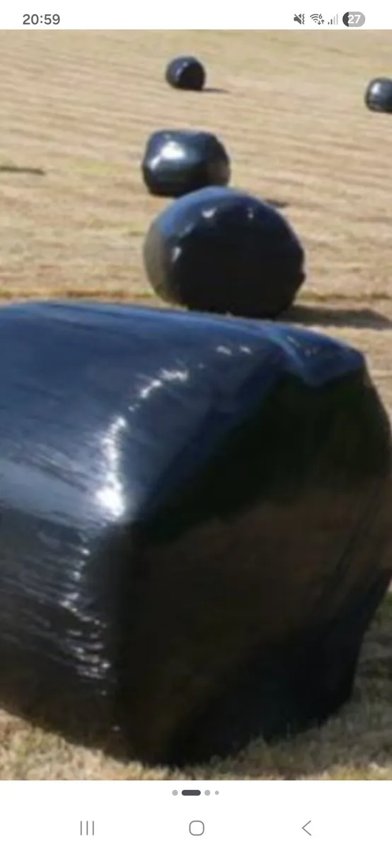Ronud bales of silage