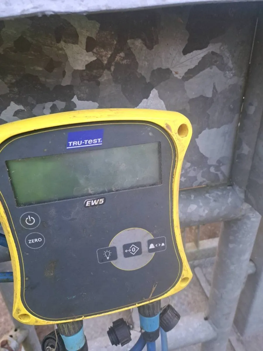 Weighing mobile crush - Image 1