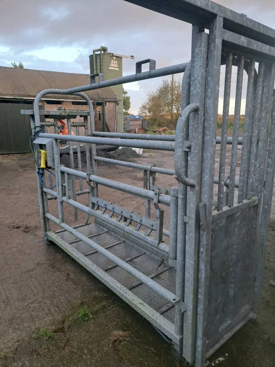 Weighing mobile crush - Image 2