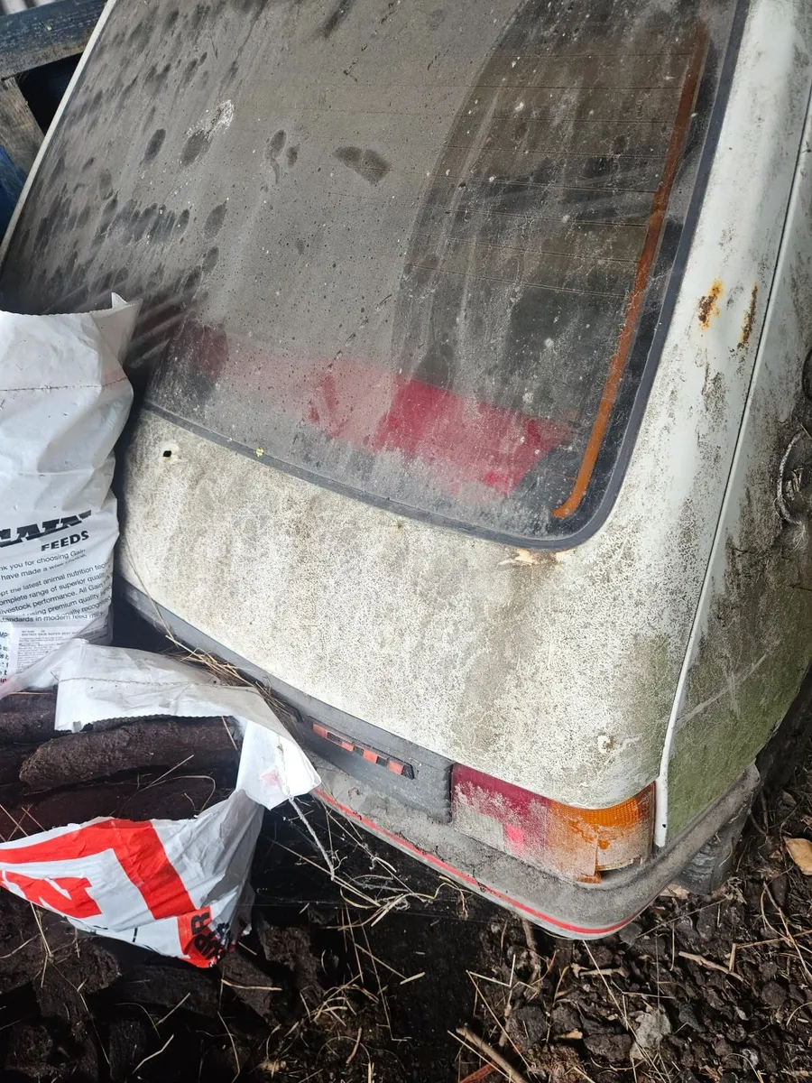 Peugeot  205 gti - Image 2