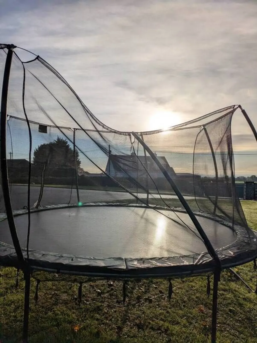 Trampoline - Image 3