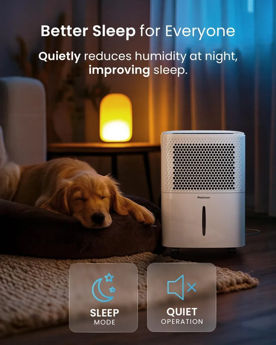 12L Day Dehumidifier with Automatic Humidity - Image 3