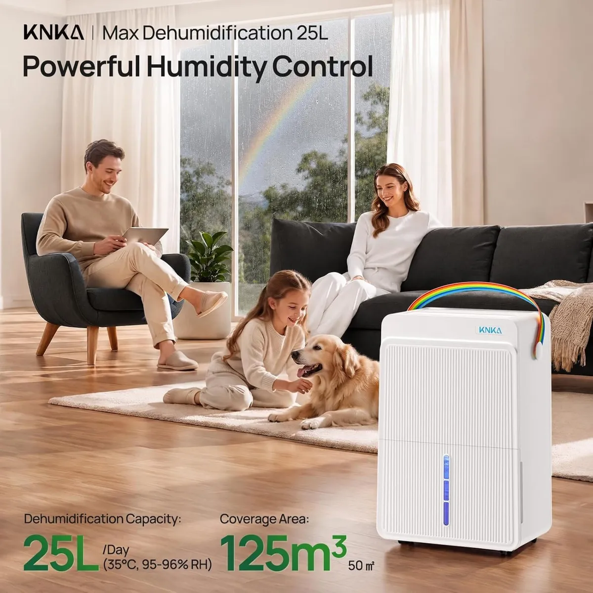 Dehumidifier 25L D Quiet Dehumidifiers for Home - Image 2