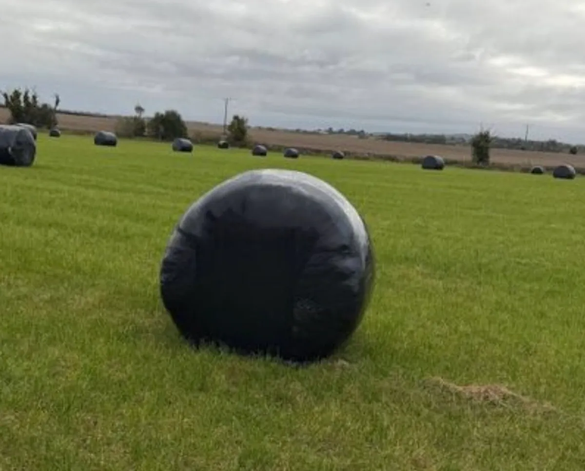 Silage bales - Image 1