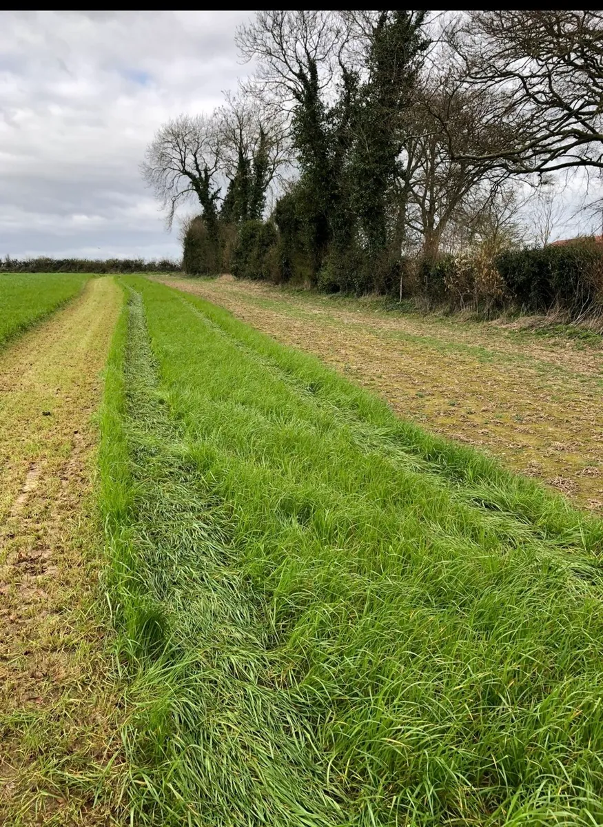 Silage bales - Image 2