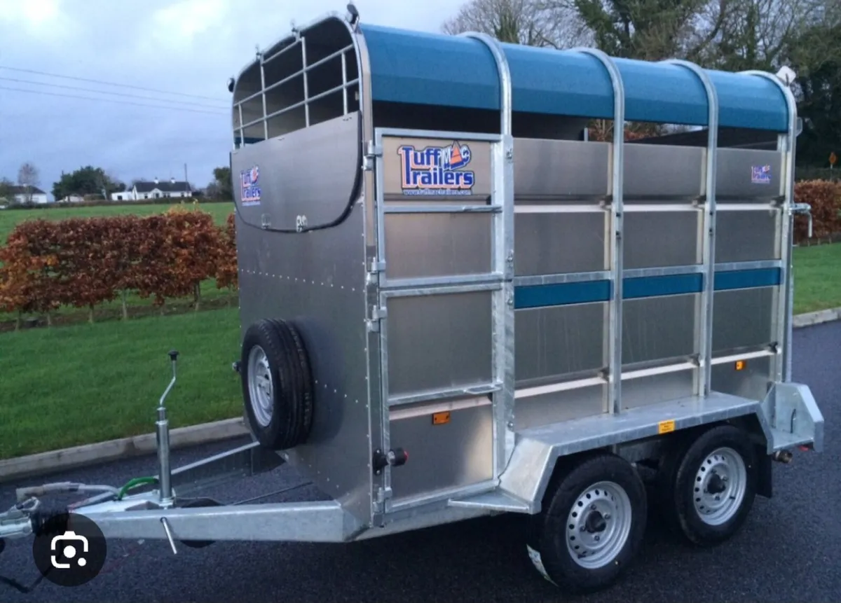⭐️⭐️WANTED⭐️⭐️   8x5  Livestock trailer - Image 2