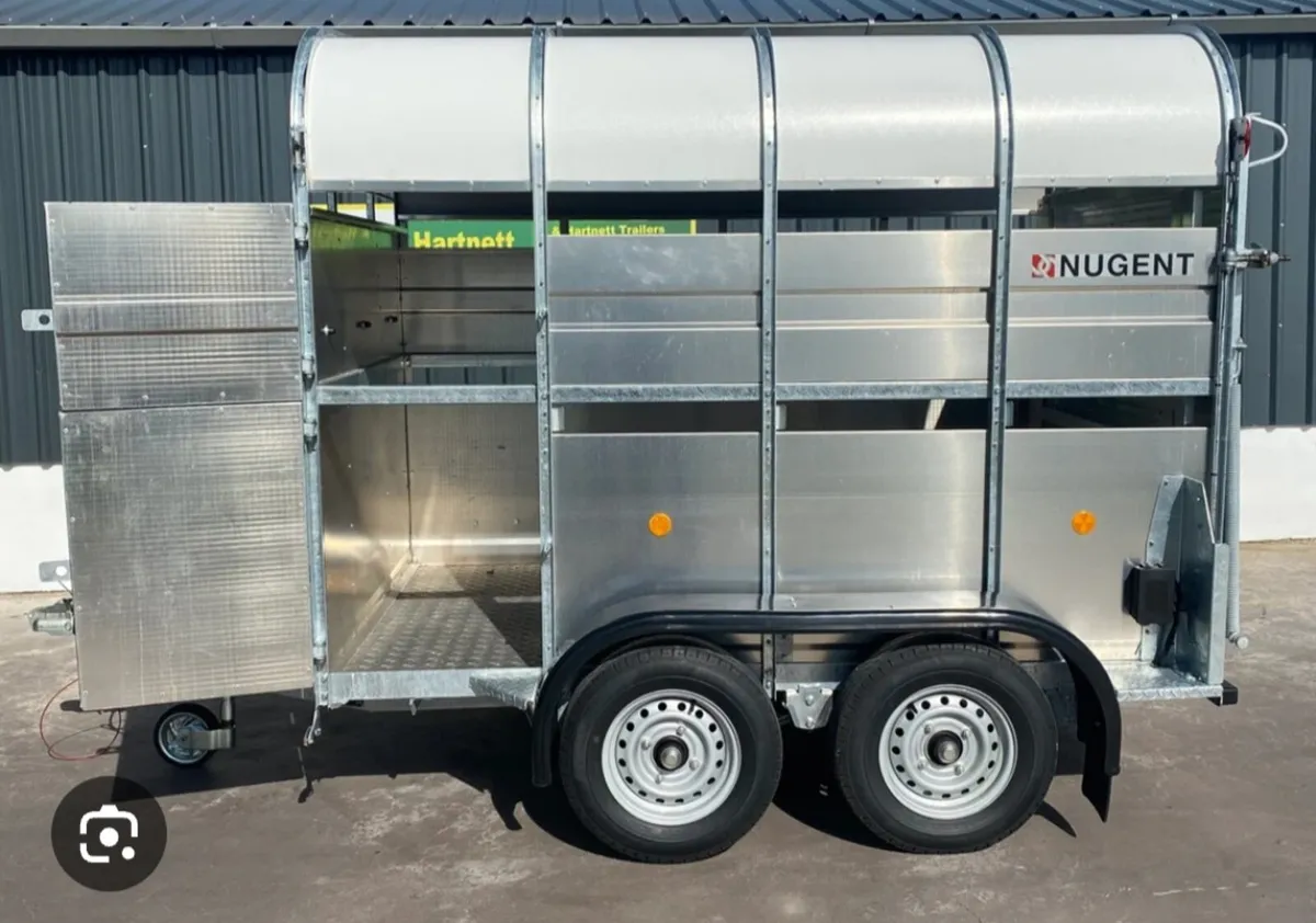 ⭐️⭐️WANTED⭐️⭐️   8x5  Livestock trailer - Image 3