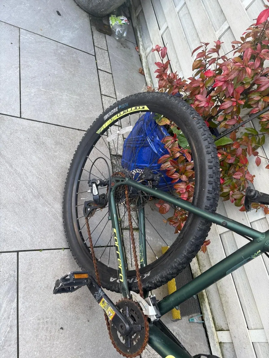 Carrera bike - Image 3