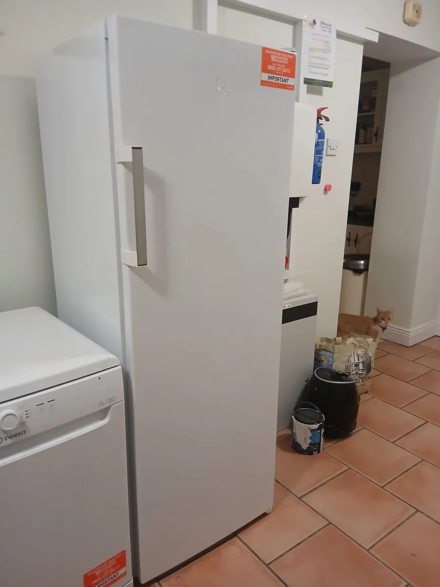 Larder Fridge, Freezer and dishwasher - Image 2