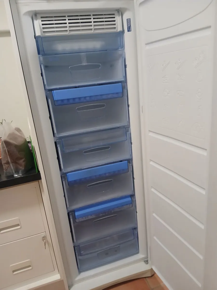 Larder Fridge, Freezer and dishwasher - Image 4