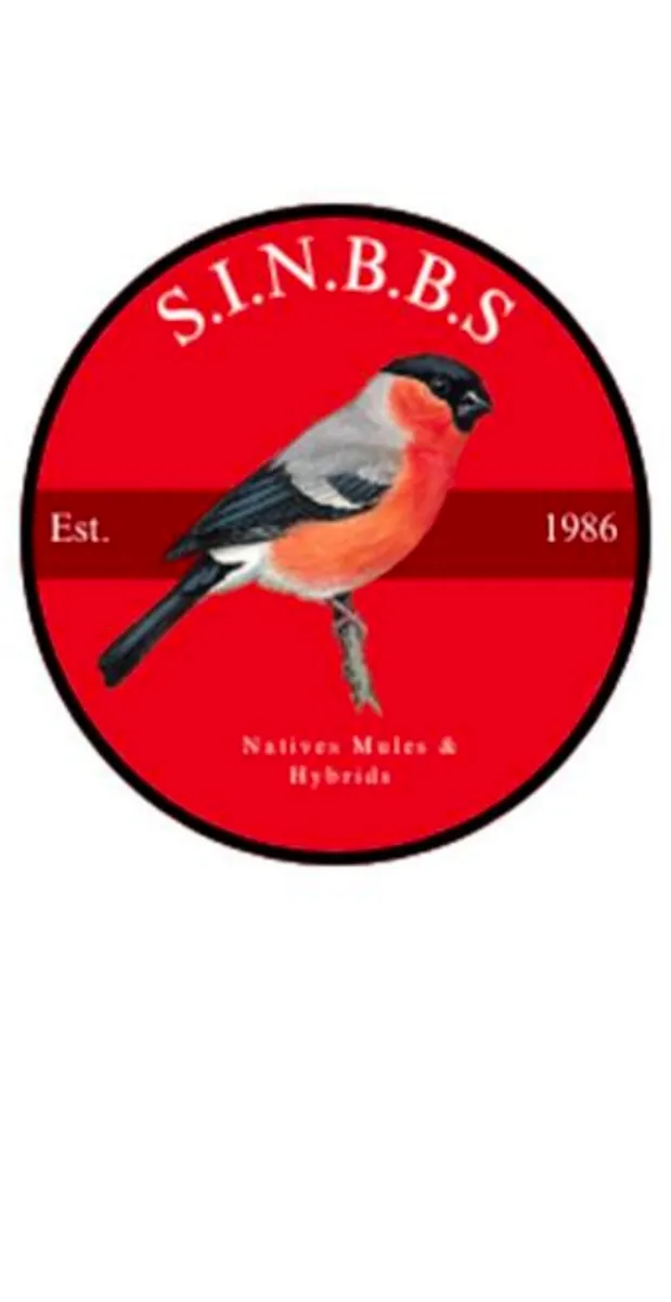 SINBBS Bird Auction
