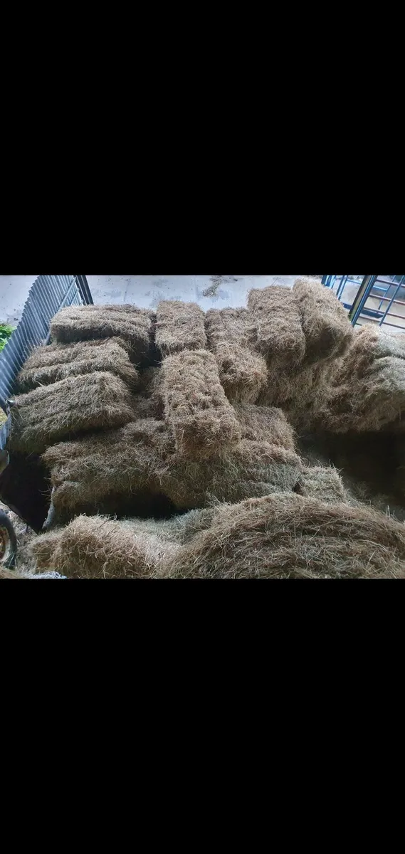 Hay for sale..