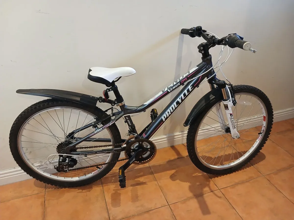 Bicycle - Image 1