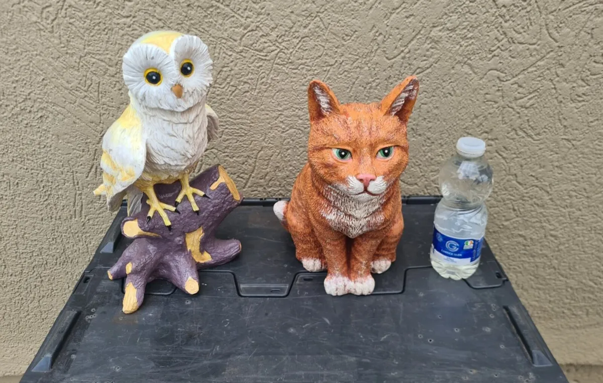An owl and cat