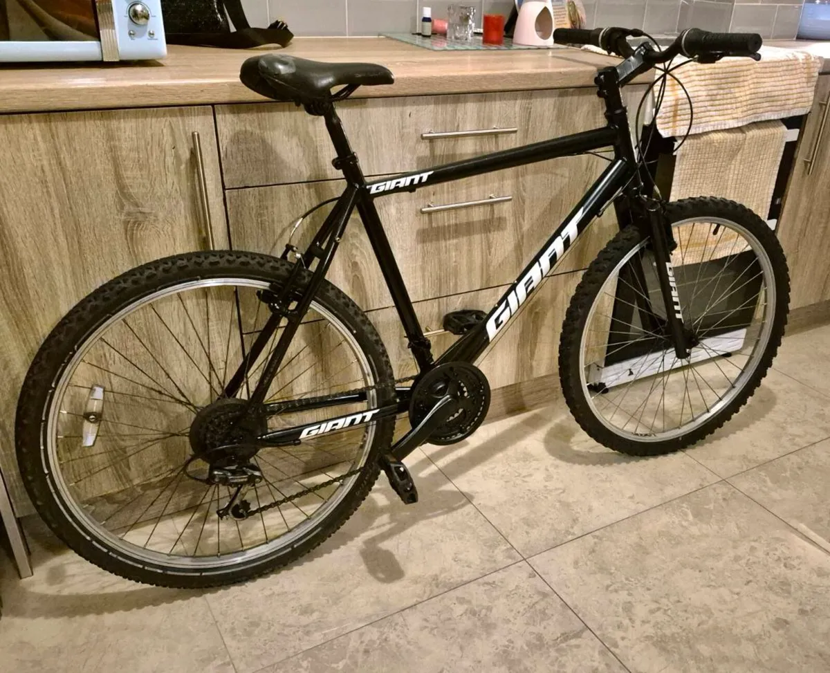 ADULTS GIANT ESCAPE 21” FRAME BIKE BRAKES AND GEAR - Image 1