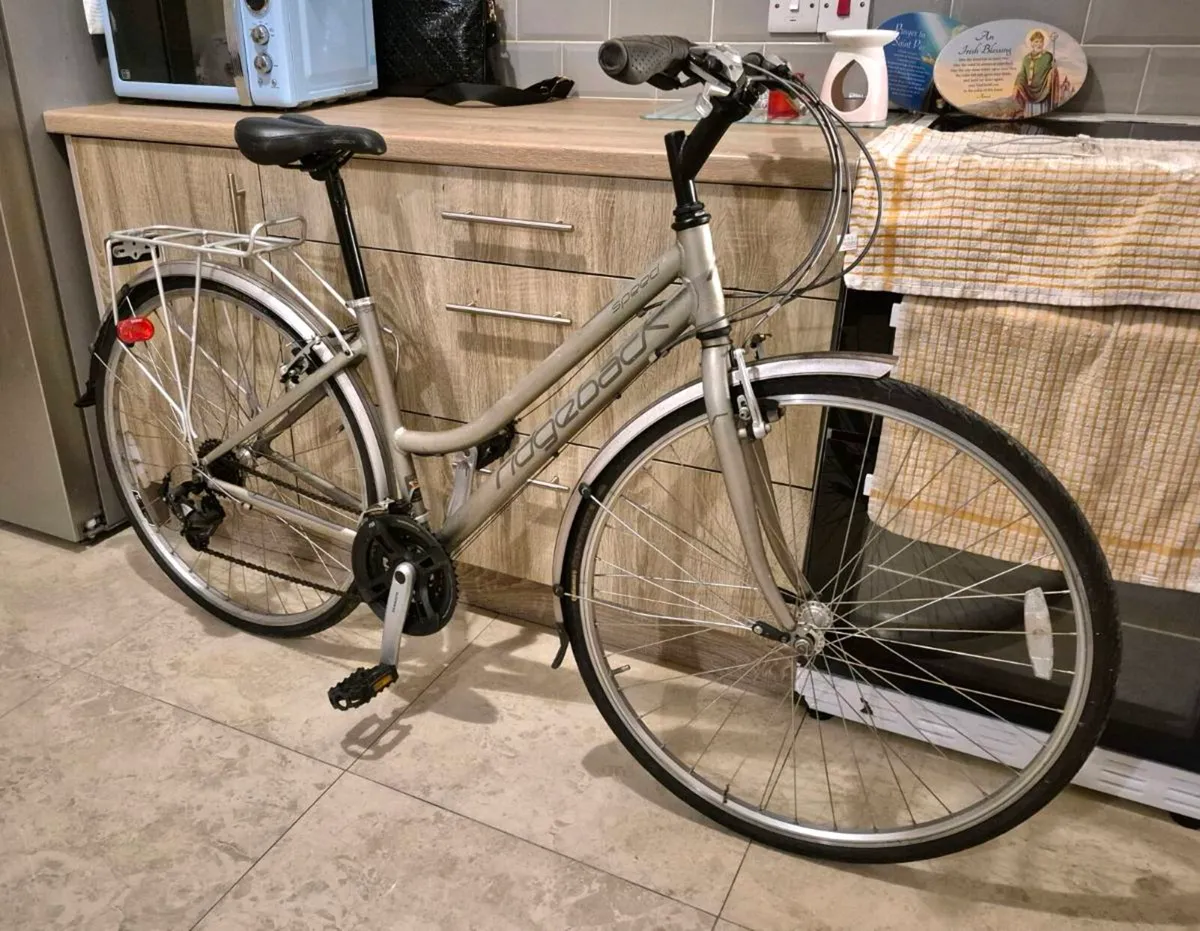 RIDGEBACK METRO SPEED 17" OPEN FRAME MUDGUARDS REA - Image 3