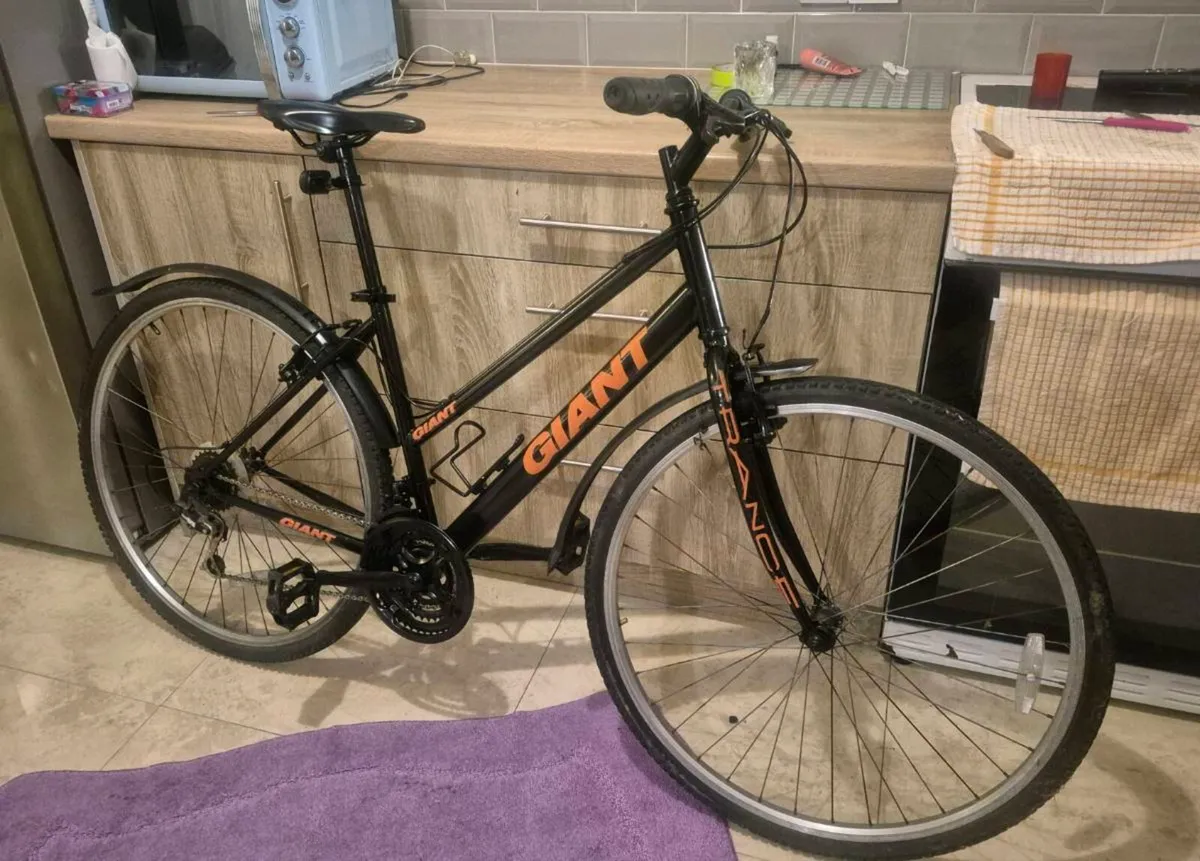 LADIES GIANT EXPRESSION BIKE 
18” FRAME  BRAKES AN - Image 2