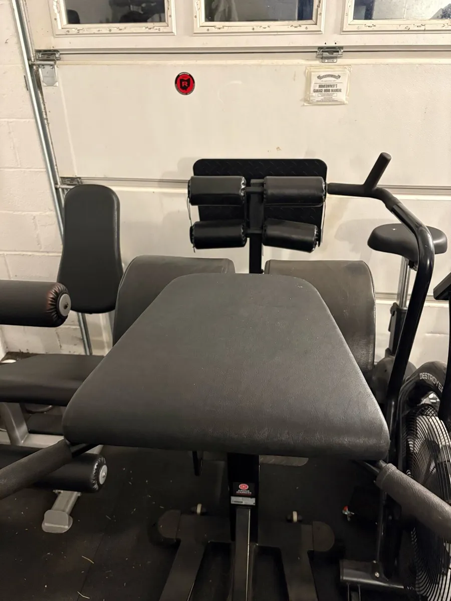 Glute ham developer / Reverse Hyper - Image 1