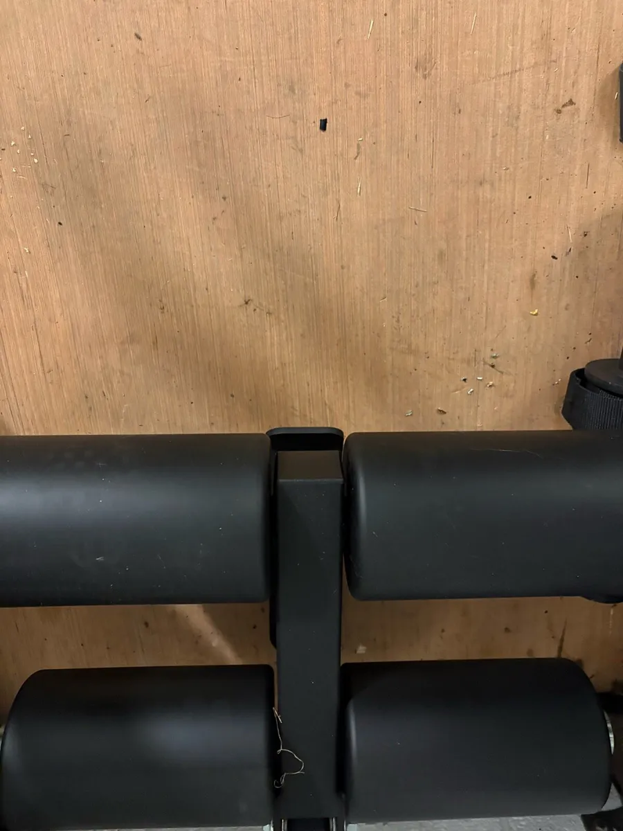 Glute ham developer / Reverse Hyper - Image 3
