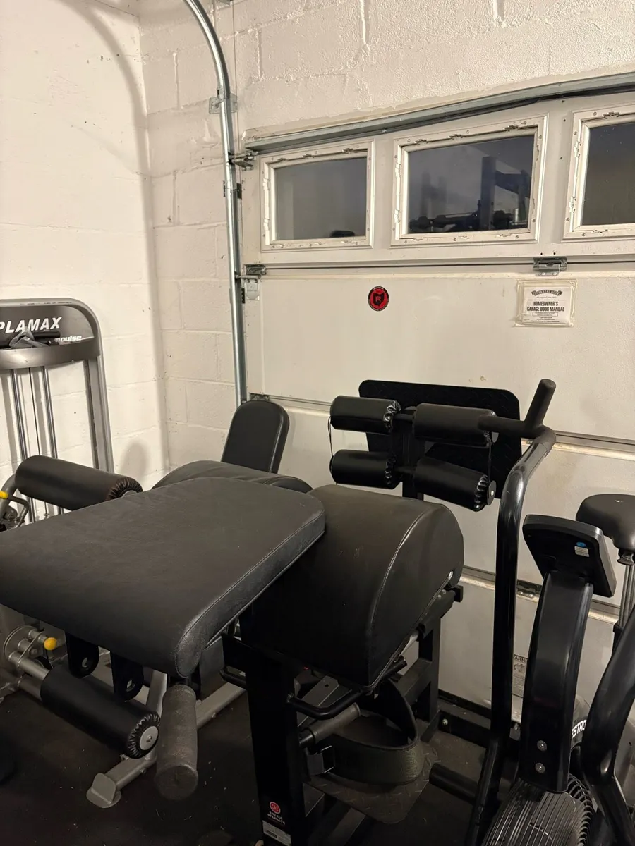 Glute ham developer / Reverse Hyper - Image 2