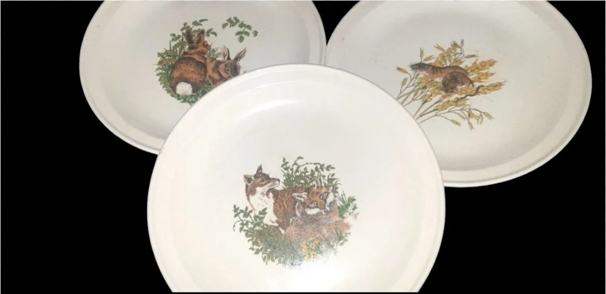 Trio Vintage Carrigdhoun Pottery Wildlife Plates - Image 3